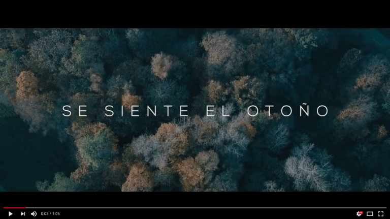 Captura de pantalla 2017-11-17 a las 11.22.51