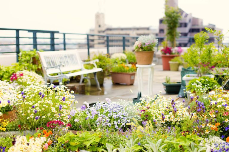 A woman enjoying gardening on the rooftop