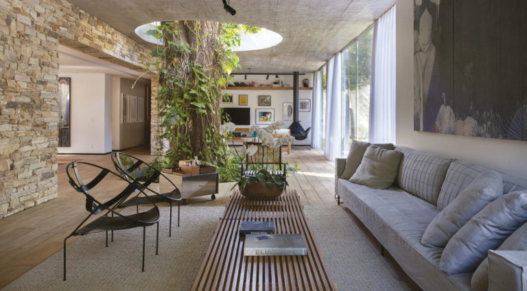Diseño biofílico en la vivienda